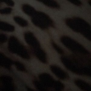 Meet your Posher, Brandy